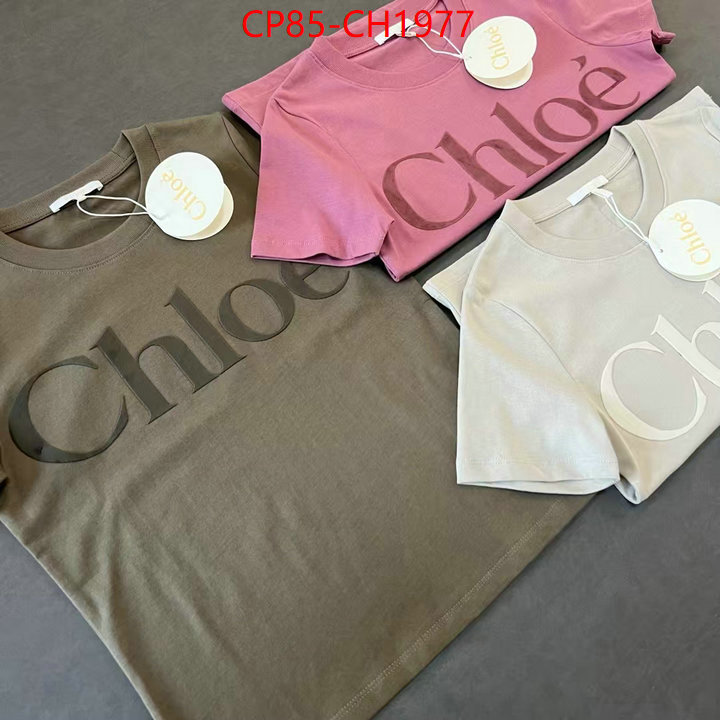 Clothing-Chloe aaaaa quality replica ID: CH1977 $: 85USD