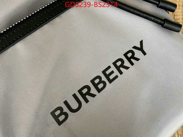 Burberry Bags(TOP)-Backpack- what is a counter quality ID: BS2314 $: 239USD,