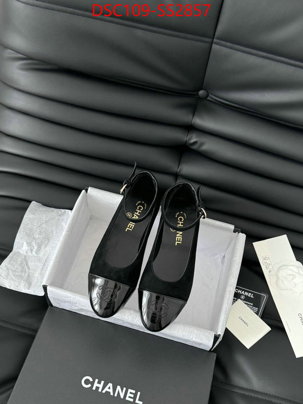 Women Shoes-Chanel the quality replica ID: SS2857 $: 109USD