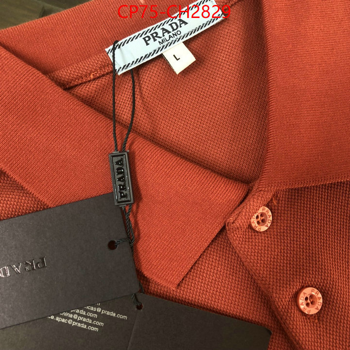 Clothing-Prada is it ok to buy ID: CH2829 $: 75USD