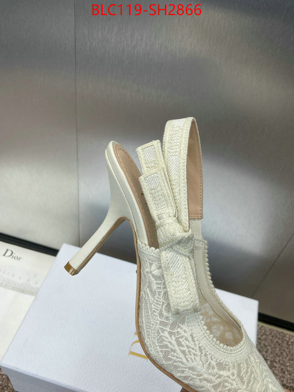 Women Shoes-Dior luxury shop ID: SH2866 $: 119USD