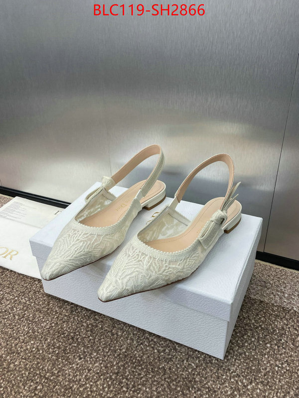 Women Shoes-Dior luxury shop ID: SH2866 $: 119USD