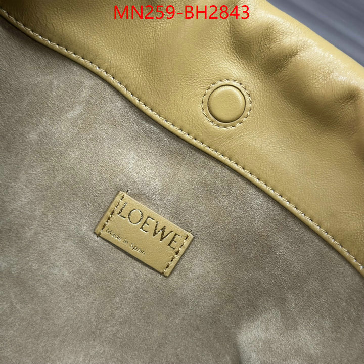 Loewe Bags(TOP)-Handbag- supplier in china ID: BH2843 $: 259USD,