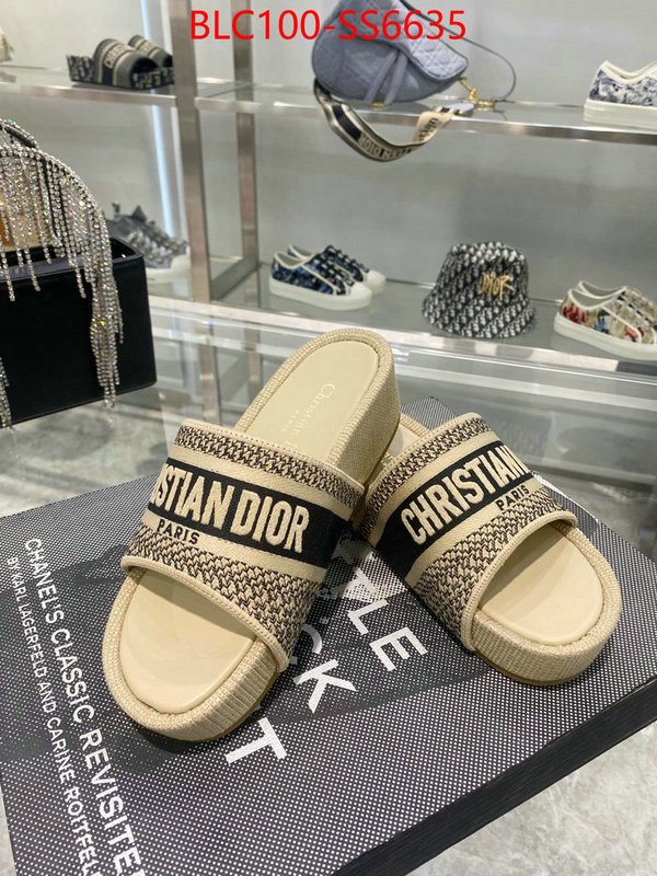 Women Shoes-Dior hot sale ID: SS6635 $: 100USD