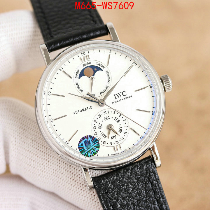 Watch(TOP)-IWC are you looking for ID: WS7609 $: 665USD