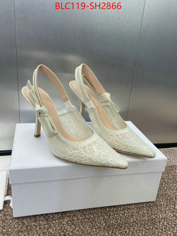 Women Shoes-Dior luxury shop ID: SH2866 $: 119USD