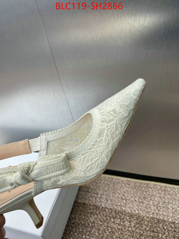 Women Shoes-Dior luxury shop ID: SH2866 $: 119USD