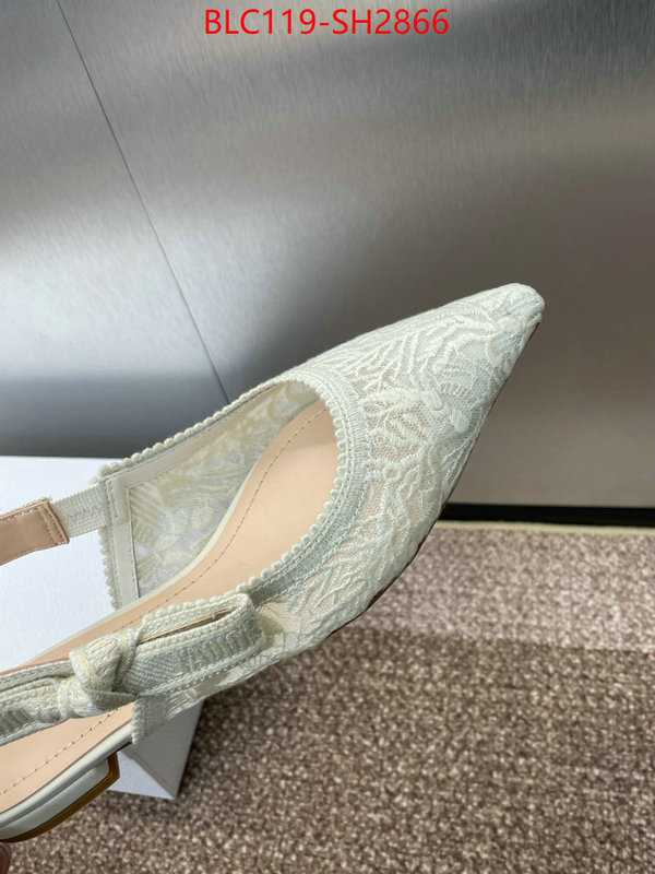 Women Shoes-Dior luxury shop ID: SH2866 $: 119USD