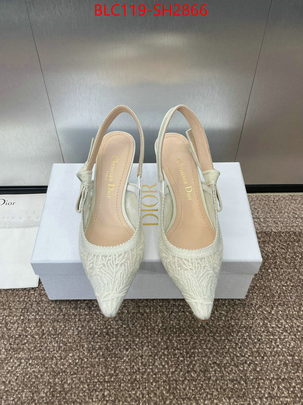 Women Shoes-Dior luxury shop ID: SH2866 $: 119USD