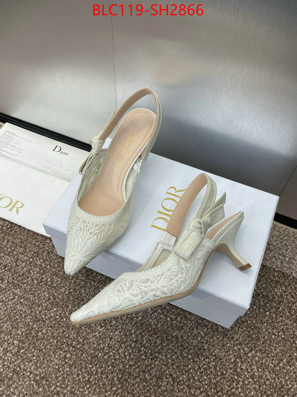 Women Shoes-Dior luxury shop ID: SH2866 $: 119USD
