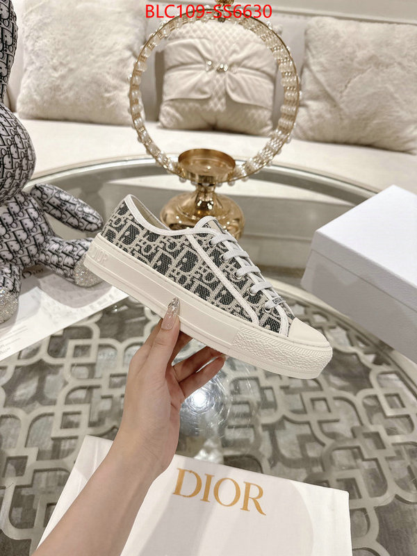 Women Shoes-Dior fake cheap best online ID: SS6630 $: 109USD