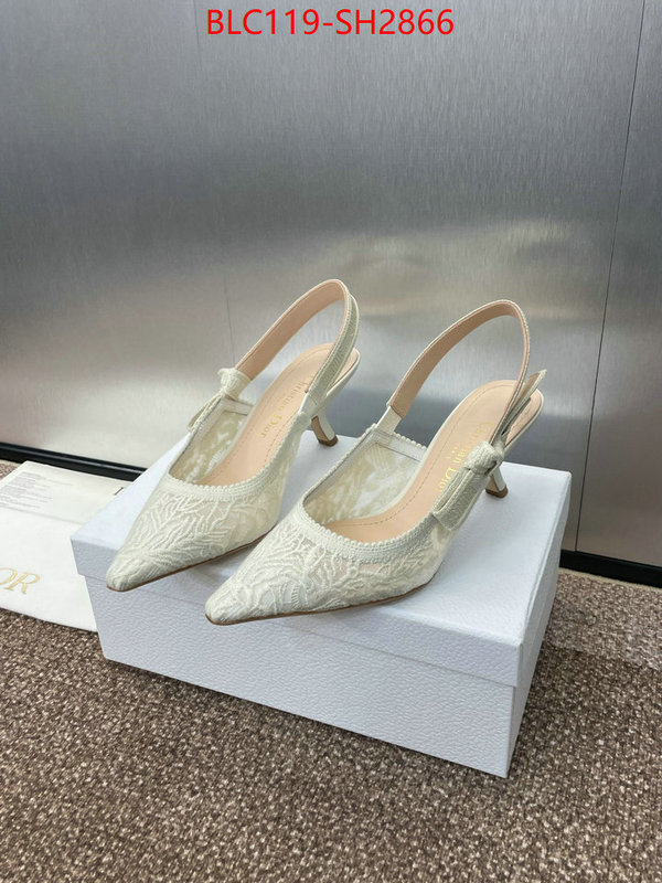 Women Shoes-Dior luxury shop ID: SH2866 $: 119USD