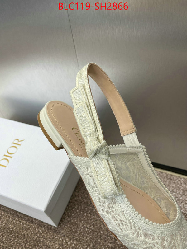 Women Shoes-Dior luxury shop ID: SH2866 $: 119USD
