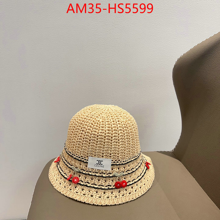 Cap(Hat)-Celine buy the best high quality replica ID: HS5599 $: 35USD
