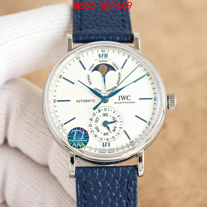 Watch(TOP)-IWC are you looking for ID: WS7609 $: 665USD