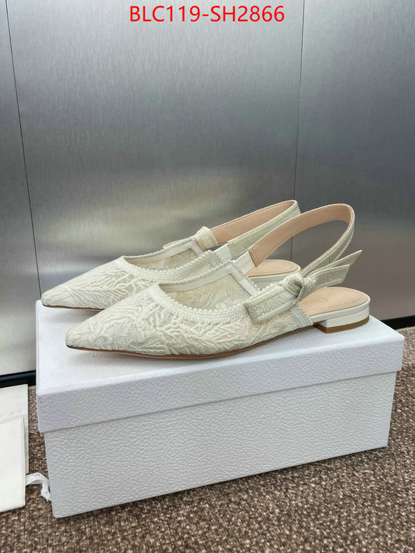 Women Shoes-Dior luxury shop ID: SH2866 $: 119USD