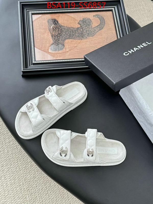 Women Shoes-Chanel the best designer ID: SS6857 $: 119USD