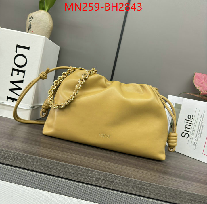 Loewe Bags(TOP)-Handbag- supplier in china ID: BH2843 $: 259USD,