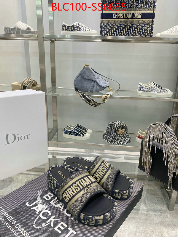 Women Shoes-Dior hot sale ID: SS6635 $: 100USD