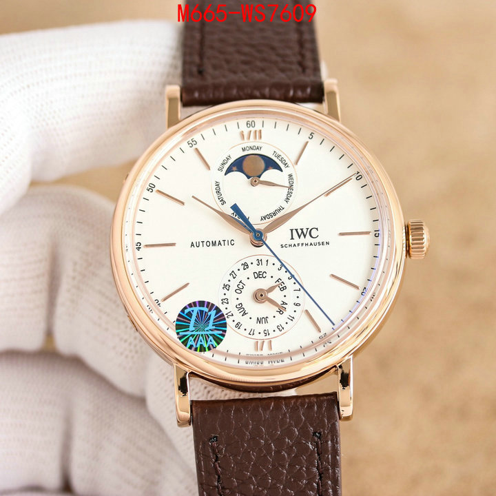 Watch(TOP)-IWC are you looking for ID: WS7609 $: 665USD