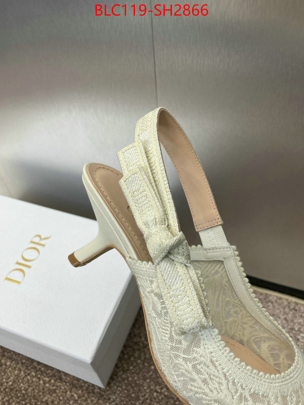 Women Shoes-Dior luxury shop ID: SH2866 $: 119USD