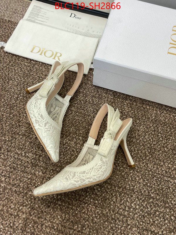 Women Shoes-Dior luxury shop ID: SH2866 $: 119USD