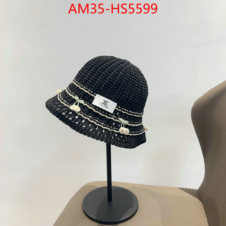 Cap(Hat)-Celine buy the best high quality replica ID: HS5599 $: 35USD