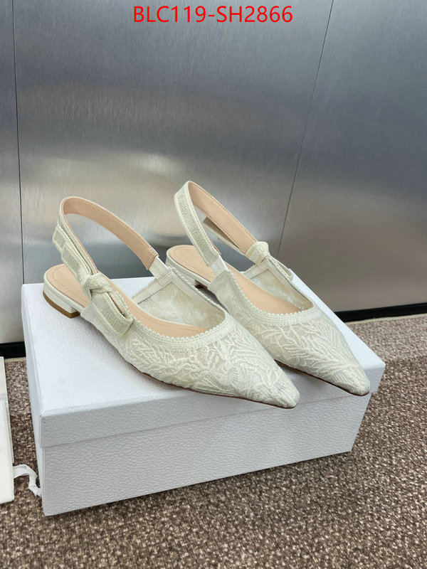 Women Shoes-Dior luxury shop ID: SH2866 $: 119USD