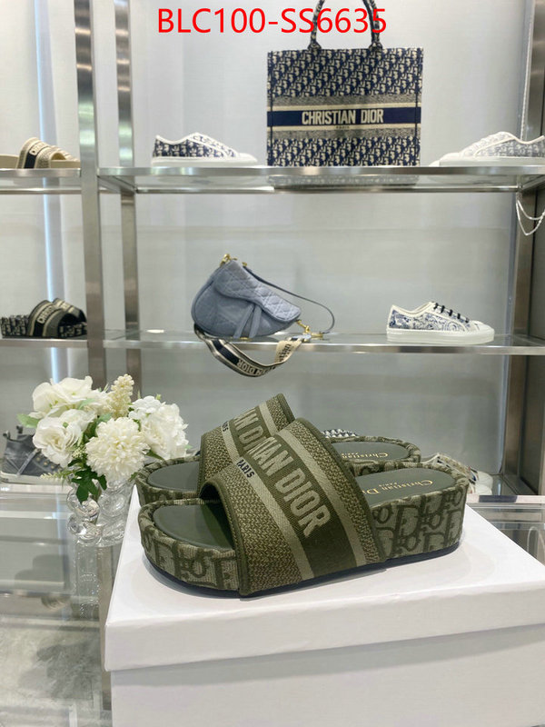 Women Shoes-Dior hot sale ID: SS6635 $: 100USD