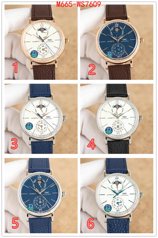 Watch(TOP)-IWC are you looking for ID: WS7609 $: 665USD