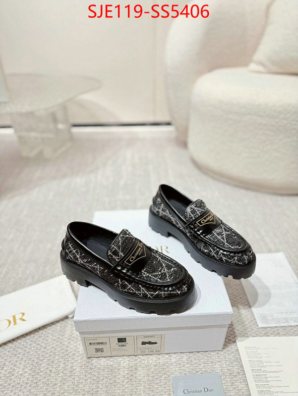 Women Shoes-Dior styles & where to buy ID: SS5406 $: 119USD