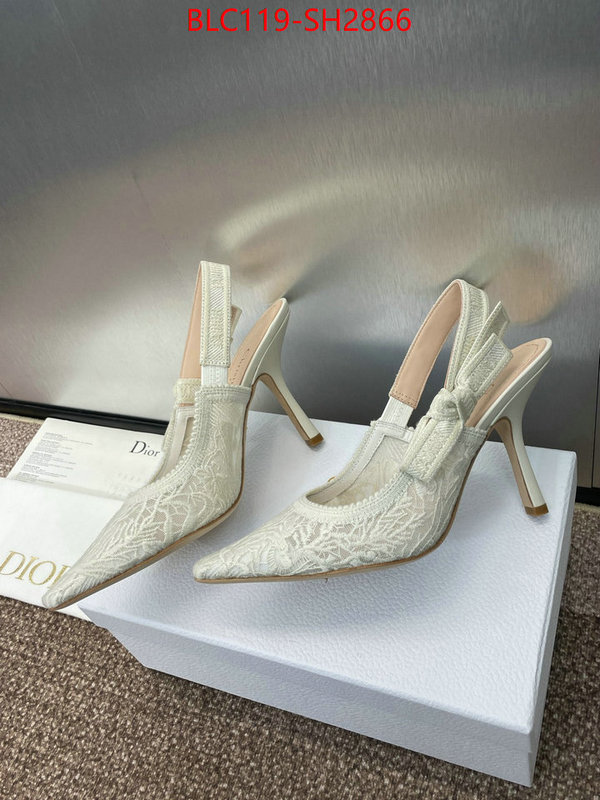 Women Shoes-Dior luxury shop ID: SH2866 $: 119USD