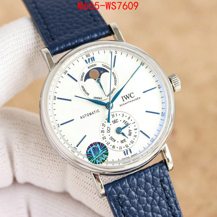 Watch(TOP)-IWC are you looking for ID: WS7609 $: 665USD