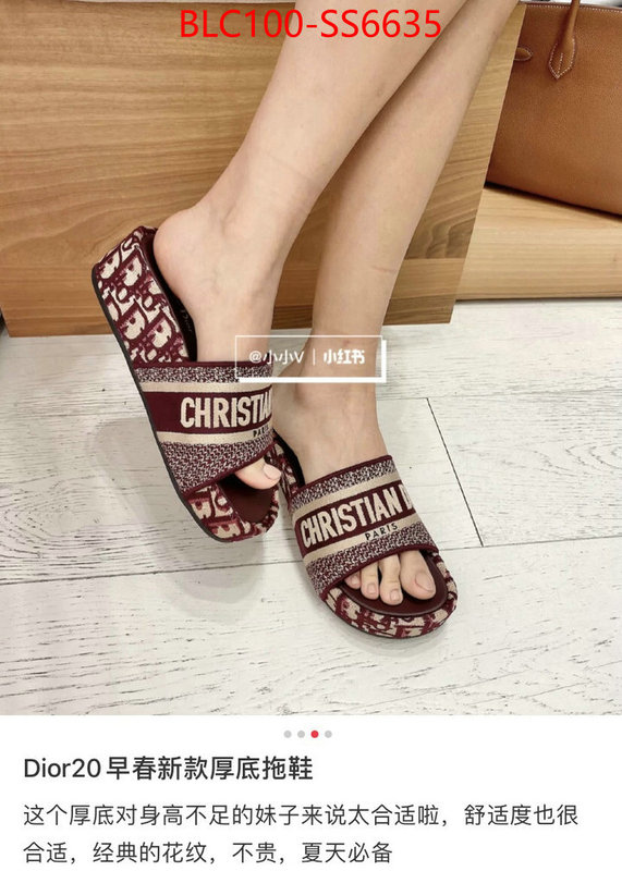 Women Shoes-Dior hot sale ID: SS6635 $: 100USD