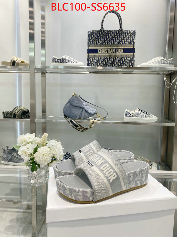 Women Shoes-Dior hot sale ID: SS6635 $: 100USD
