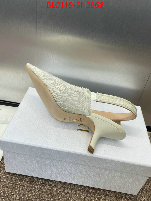 Women Shoes-Dior luxury shop ID: SH2866 $: 119USD