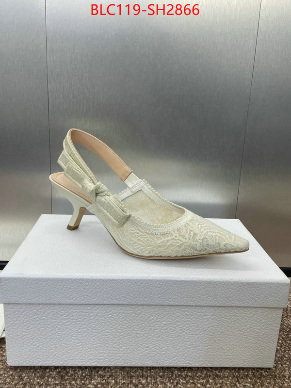 Women Shoes-Dior luxury shop ID: SH2866 $: 119USD