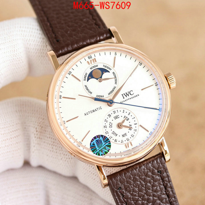 Watch(TOP)-IWC are you looking for ID: WS7609 $: 665USD