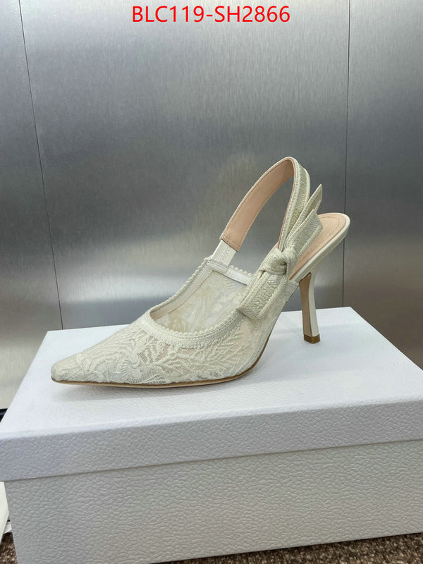 Women Shoes-Dior luxury shop ID: SH2866 $: 119USD