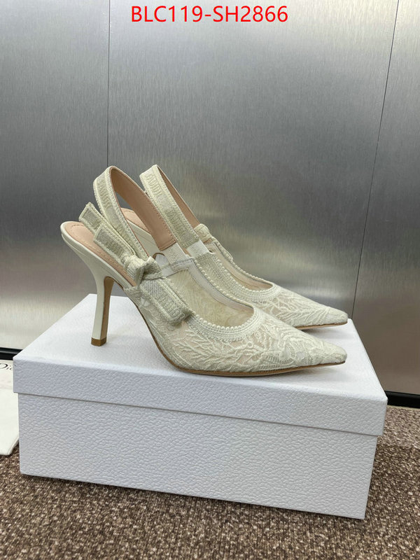 Women Shoes-Dior luxury shop ID: SH2866 $: 119USD