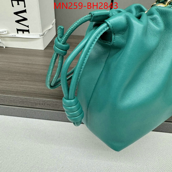 Loewe Bags(TOP)-Handbag- supplier in china ID: BH2843 $: 259USD,