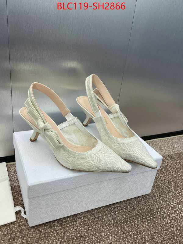 Women Shoes-Dior luxury shop ID: SH2866 $: 119USD