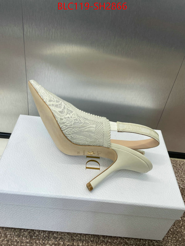 Women Shoes-Dior luxury shop ID: SH2866 $: 119USD
