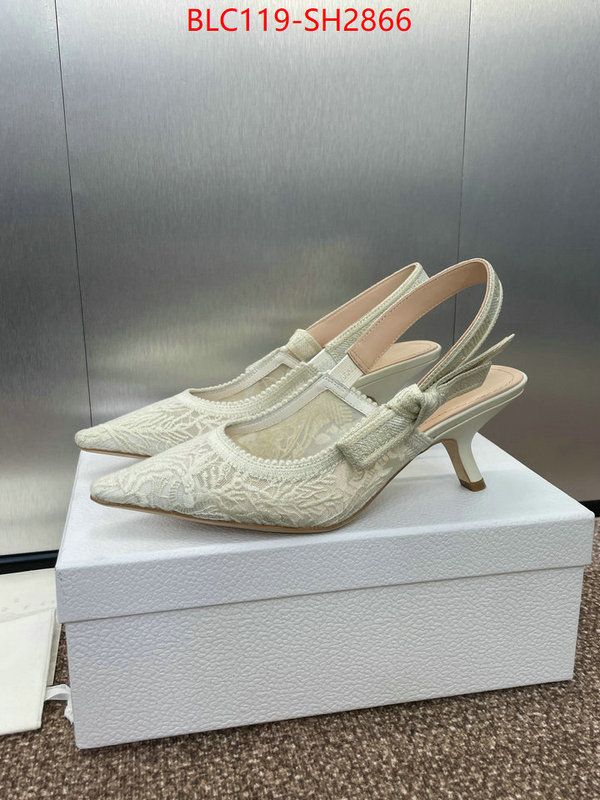 Women Shoes-Dior luxury shop ID: SH2866 $: 119USD