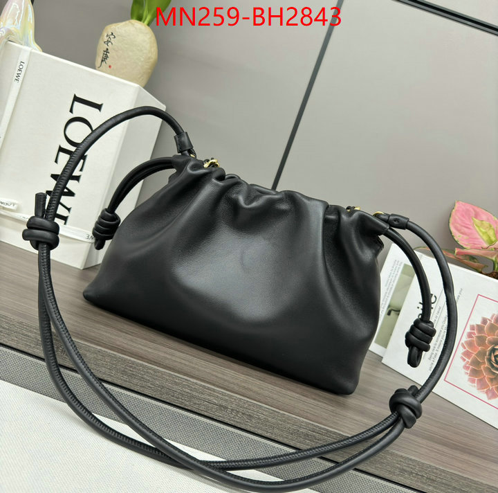 Loewe Bags(TOP)-Handbag- supplier in china ID: BH2843 $: 259USD,