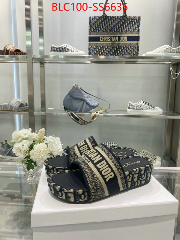 Women Shoes-Dior hot sale ID: SS6635 $: 100USD