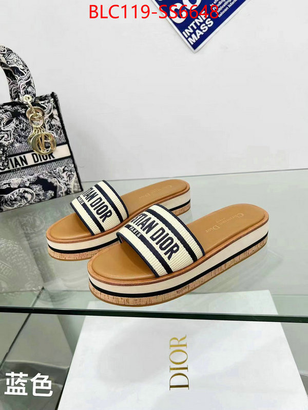 Women Shoes-Dior only sell high-quality ID: SS6648 $: 119USD