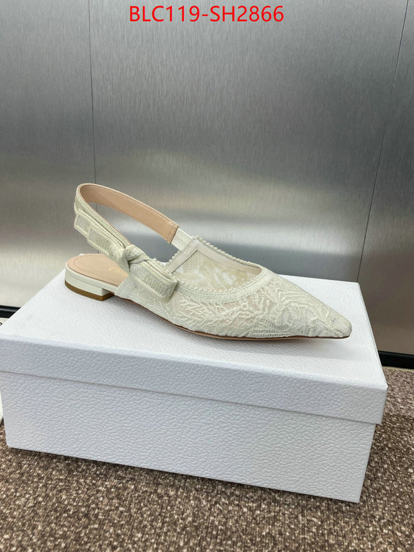 Women Shoes-Dior luxury shop ID: SH2866 $: 119USD