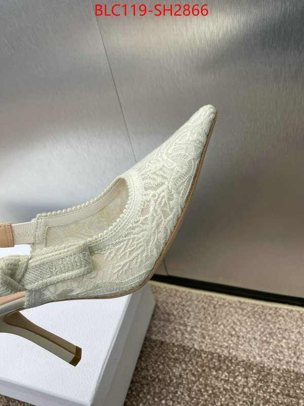 Women Shoes-Dior luxury shop ID: SH2866 $: 119USD