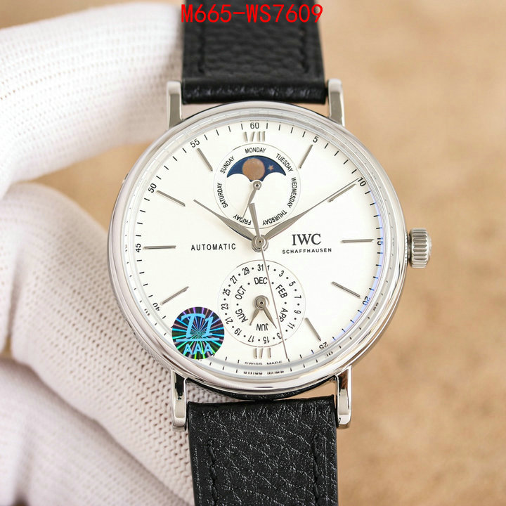 Watch(TOP)-IWC are you looking for ID: WS7609 $: 665USD